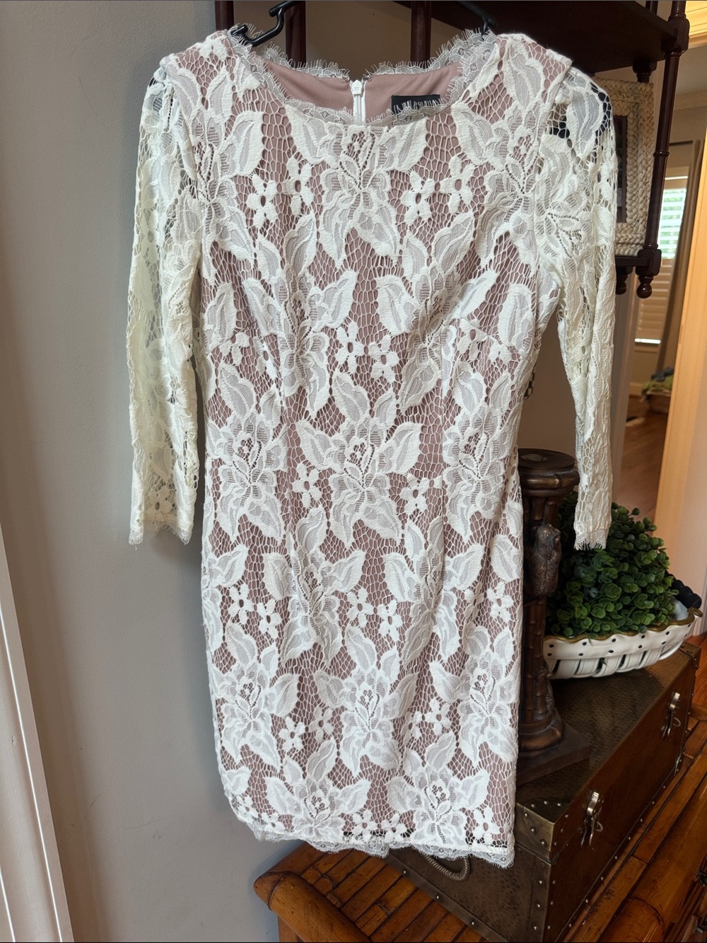 Adrianna Papell Ivory Lace Over Blush Long Sleeve Sheath Dress